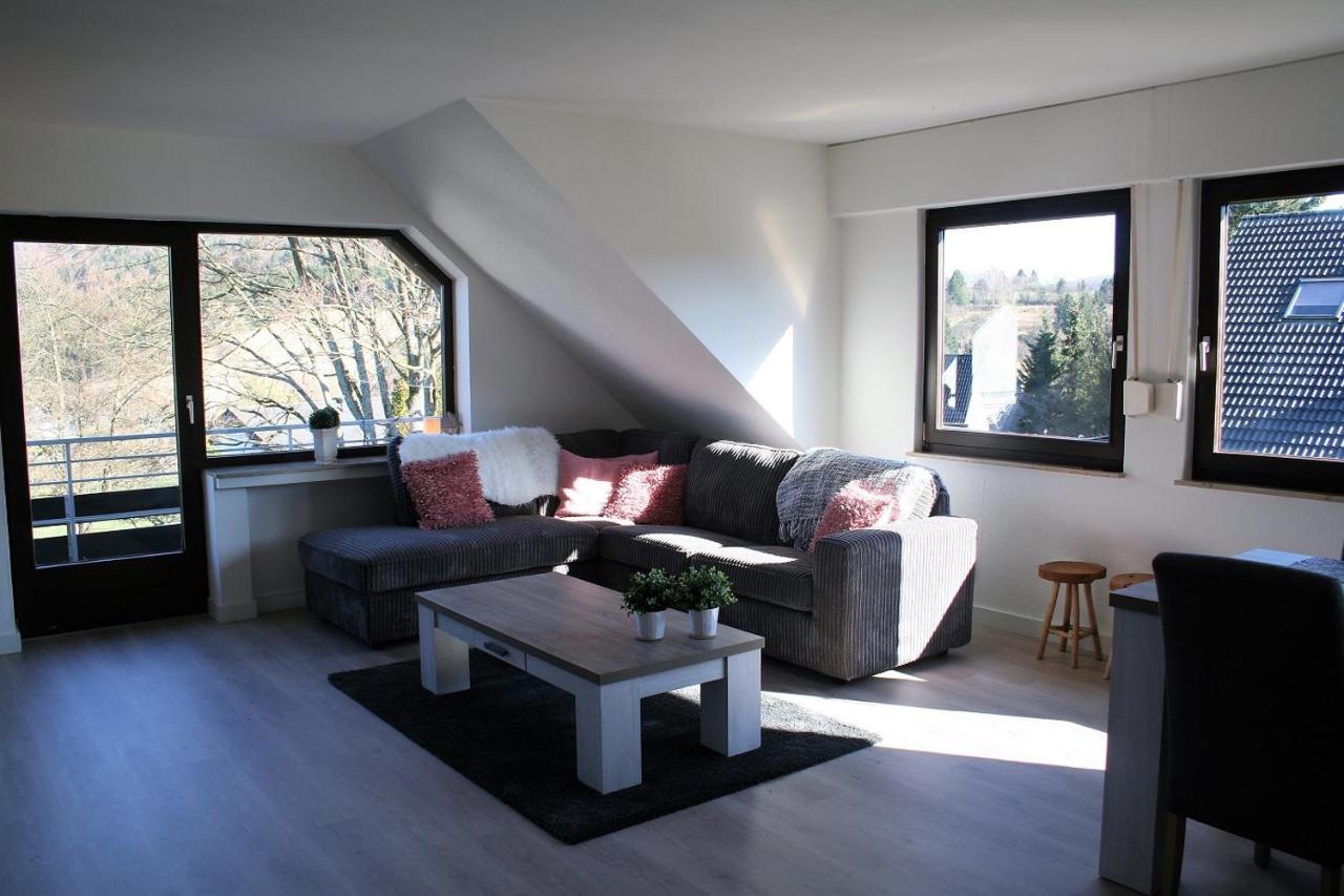 Auf Der Platte Apartamento Winterberg Exterior foto